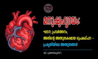 മനുഷ്യഹൃദയം: ഘടന, പ്രവർത്തനം, അതിന്റെ അത്ഭുതകരമായ രൂപകല്പന - പ്രകൃതിയിലെ അത്ഭുതങ്ങൾ (ജി. പുത്തൻകുരിശ് )