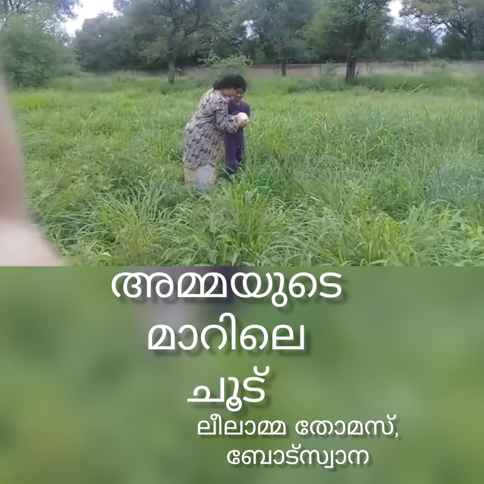 അമ്മയുടെ മാറിലെ ചൂട് ( കവിത :  ലീലമ്മ തോമസ്, ബോട്സ്വാന )
