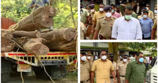 മുട്ടിൽ മരംമുറി വഞ്ചനാക്കേസ്: അഗസ്റ്റിൻ സഹോദരന്മാർ 11-ന് ഹാജരാകണം; നിലപാട് കടുപ്പിച്ച് ചോറ്റാനിക്കര കോടതി