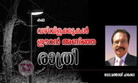 വഴിവിളക്കുകൾ ഈറൻ അണിഞ്ഞ രാത്രി (കഥ: ഡോ.മത്തായി ചാക്കോ)