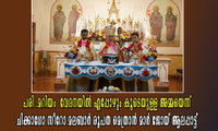 പരി.മറിയം  വേദനയിൽ എപ്പോഴും കൂടെയുള്ള അമ്മയെന്ന് ചിക്കാഗോ സീറോ മലബാർ രൂപത മെത്രാൻ മാർ ജോയ് ആലപ്പാട്ട്
