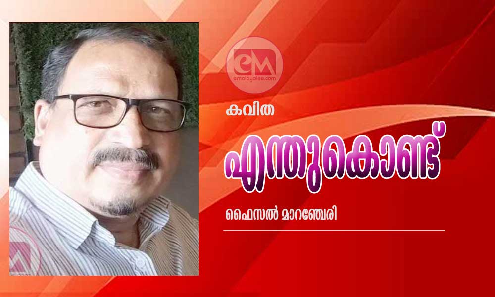എന്തുകൊണ്ട്  (കവിത: ഫൈസൽ മാറഞ്ചേരി)