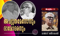 അച്യുതമേനോനും ദാമോദരനും (അച്യുതം-12: മാങ്ങാട് രത്‌നാകരൻ)