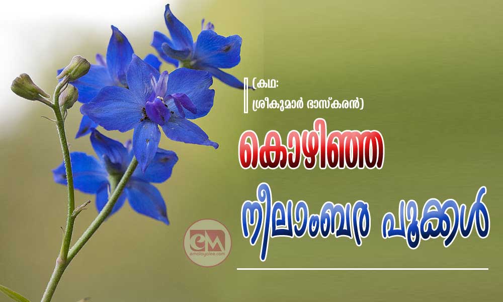 കൊഴിഞ്ഞ നീലാംബര പൂക്കൾ (കഥ: ശ്രീകുമാർ ഭാസ്കരൻ)