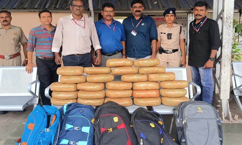 ട്രെയിനുകള് സ്റ്റേഷന് വിട്ടപ്പോള് പ്ലാറ്റ്ഫോമില് ബാഗുകള്, പരിശോധിച്ചപ്പോള് കഞ്ചാവ്; പിടിച്ചത് 51 കിലോഗ്രാം