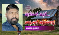 മുറികൾ കൂടി… മനുഷ്യർ കുറഞ്ഞു (ലേഖനം: വൈശാഖ് തൃപ്രയാർ)