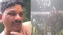 ഗവി കെ.എസ്.ആർ.ടി.സി ബസിനു നേരെ  തേനീച്ച ആക്രമണം; 17 യാത്രക്കാർക്ക് പരിക്കേറ്റു