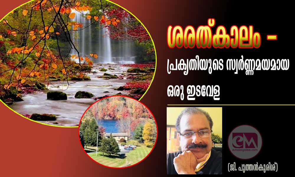 ശരത്കാലം -പ്രകൃതിയുടെ സ്വർണ്ണമയമായ ഒരു ഇടവേള (ജി. പുത്തൻകുരിശ്)