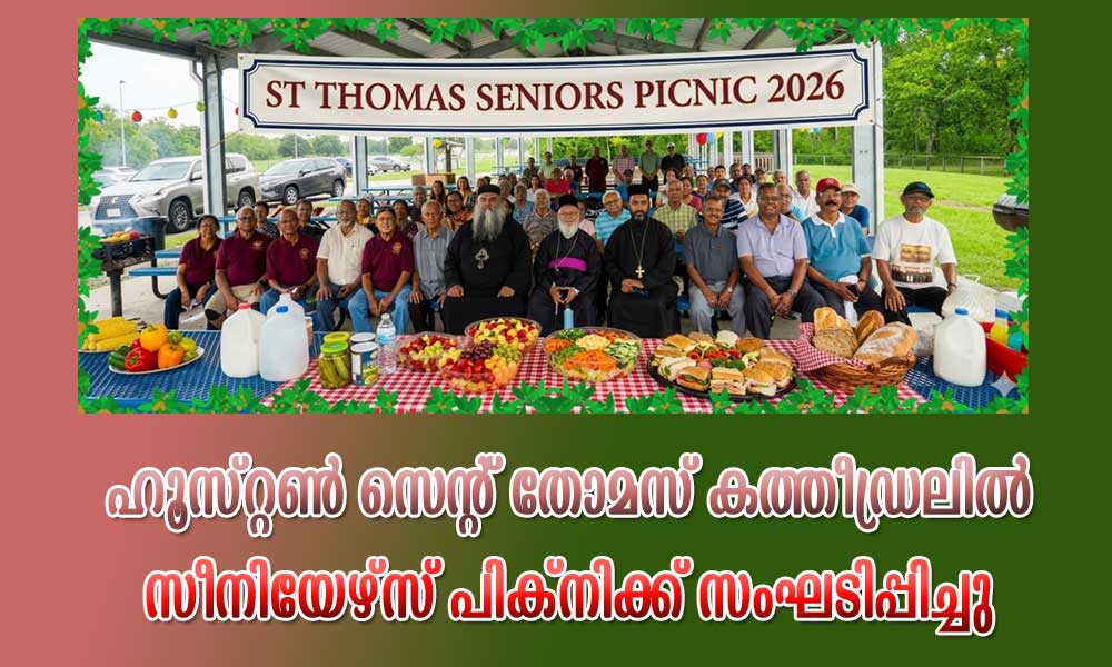 ഹൂസ്റ്റണ്‍ സെന്റ് തോമസ് കത്തീഡ്രലില്‍ സീനിയേഴ്‌സ് പിക്‌നിക്ക് സംഘടിപ്പിച്ചു
