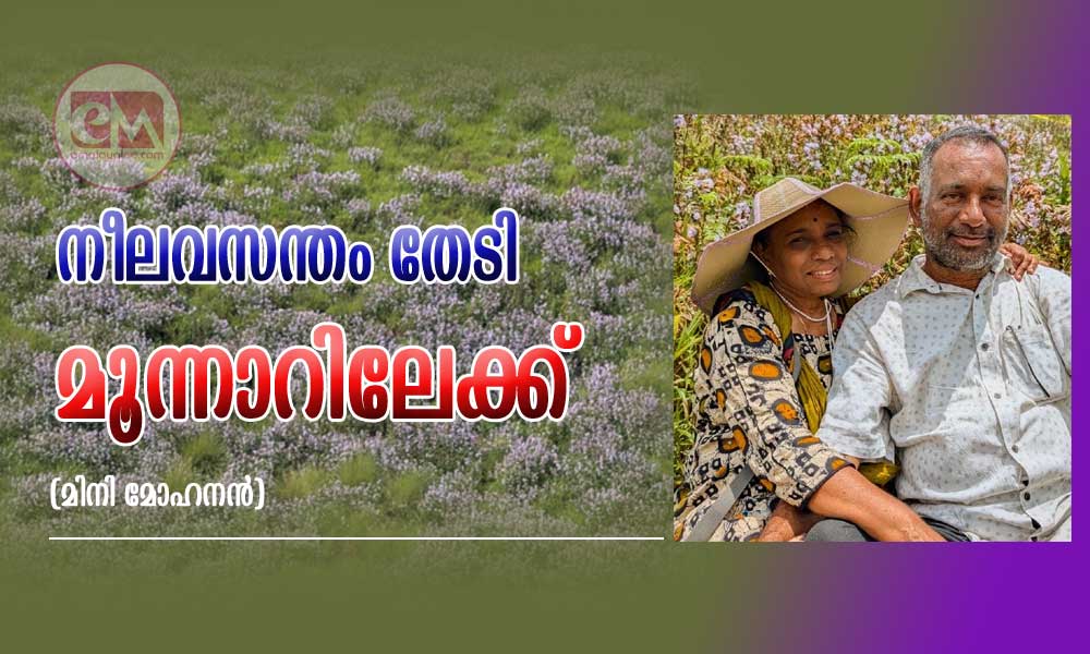 നീലവസന്തം തേടി മൂന്നാറിലേക്ക് (മിനി മോഹനൻ)