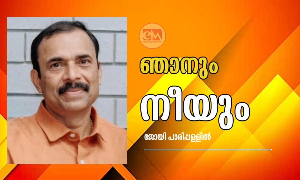 ഞാനും നീയും (കവിത: ജോയി പാരിപ്പള്ളില്)