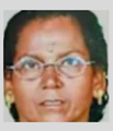 ജോലി കഴിഞ്ഞ് മടങ്ങുന്നതിനിടെ കടന്നൽകുത്തേറ്റ്  വീട്ടമ്മ മരിച്ചു