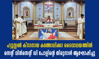 ഹ്യൂസ്റ്റൺ ക്നാനായ കത്തോലിക്കാ ദൈവാലയത്തിൽ സെന്റ് വിൻസെന്റ് ഡി പോളിന്റെ തിരുനാൾ ആഘോഷിച്ചു