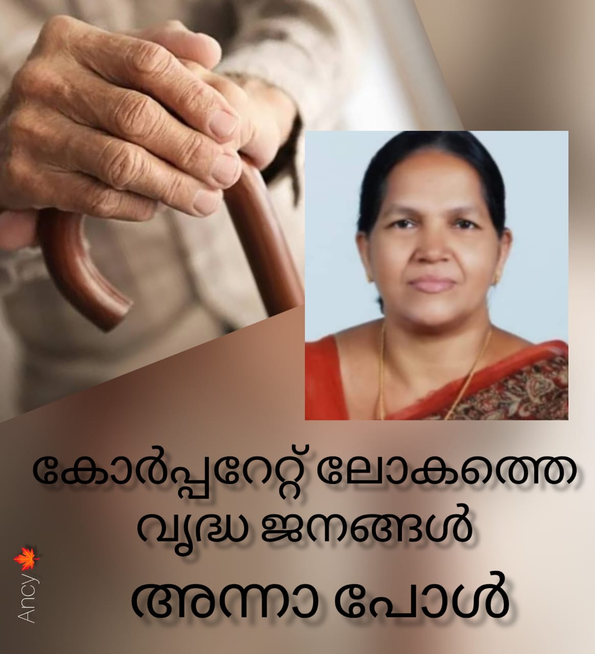  കോർപ്പറേറ്റ് ലോകത്തെ വൃദ്ധജനങ്ങൾ :  അന്നാ പോൾ