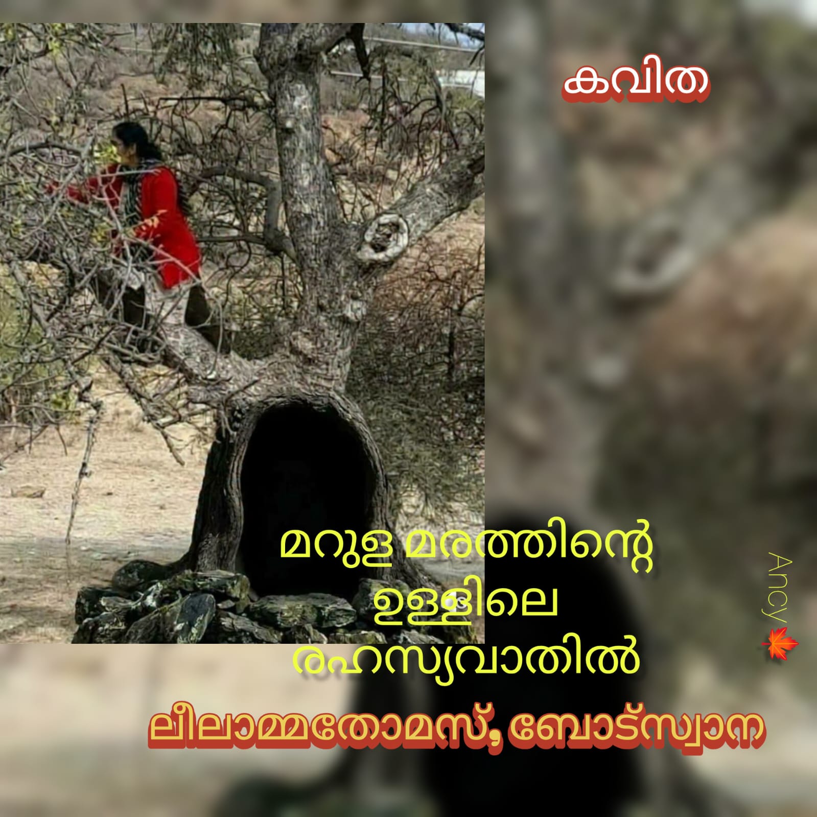 മറുളമരത്തിന്റെ ഉള്ളിലെ രഹസ്യവാതിൽ : ലീലാമ്മതോമസ്, ബോട്സ്വാന