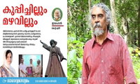  'മാധ്യമത്തിന്റേത് ജനാധിപത്യ വിരുദ്ധ സമീപനം'; ലേഖനം പിന്‍വലിച്ചതില്‍ പ്രതിഷേധിച്ച് പതിവ് കോളം അവസാനിപ്പിച്ച് കെഇഎന്‍