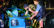 ഓട്ടോയ്ക്ക് മുകളിലേക്ക് മരം വീണ് ഡ്രൈവര്‍ മരിച്ചു