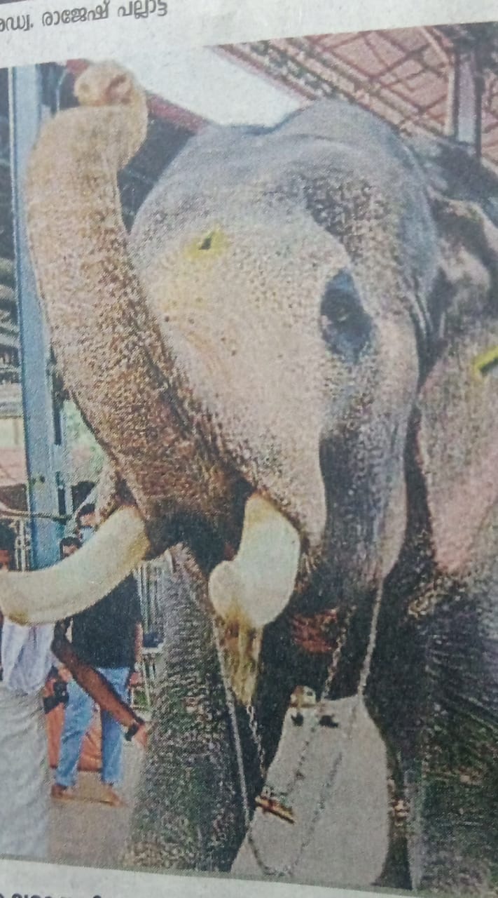 എവിടിരുന്നാലും വരാനുള്ളത് വരും ( വിചാരസീമകൾ : പി.സീമ )