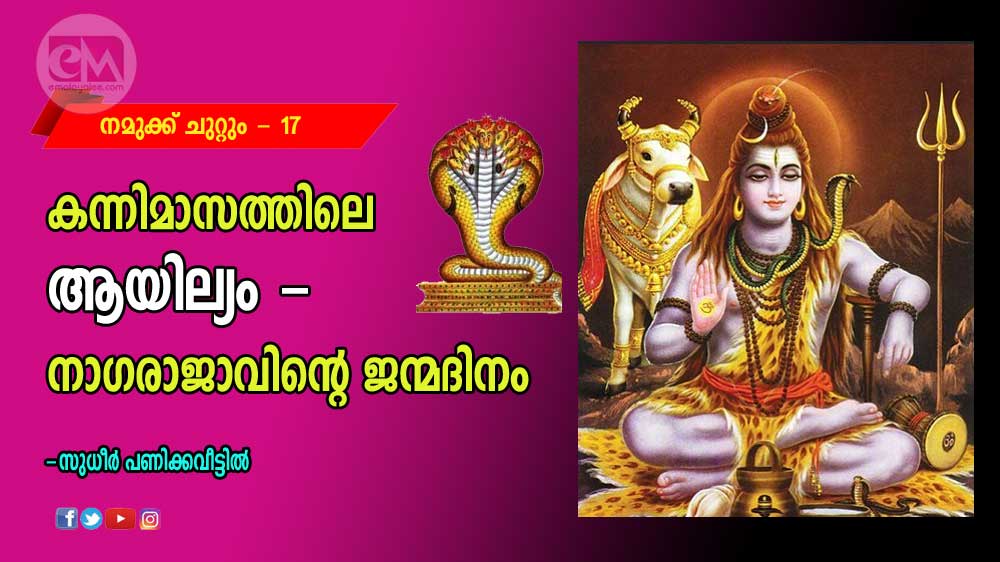 കന്നിമാസത്തിലെ ആയില്യം - നാഗരാജാവിന്റെ ജന്മദിനം (നമുക്കു ചുറ്റും-17: സുധീർ പണിക്കവീട്ടിൽ)