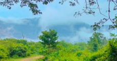 പരിസ്ഥിതിലോല മേഖലയിൽ നിന്ന് ശബരിമലയെ ഒഴിവാക്കാൻ സംസ്ഥാനത്തിന്റെ ശുപാർശ