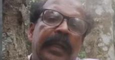 കാട്ടുപന്നിയുടെ ആക്രമണം ; രക്ഷതേടി  മരത്തിൽ കയറി കുടുങ്ങിയ   അധ്യാപകനെ ഫയർഫോഴ്സ് രക്ഷപെടുത്തി