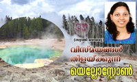 വിസ്മയങ്ങൾ തിളയ്ക്കുന്ന യെല്ലോസ്റ്റോൺ (സ്വാതി ബാബു)