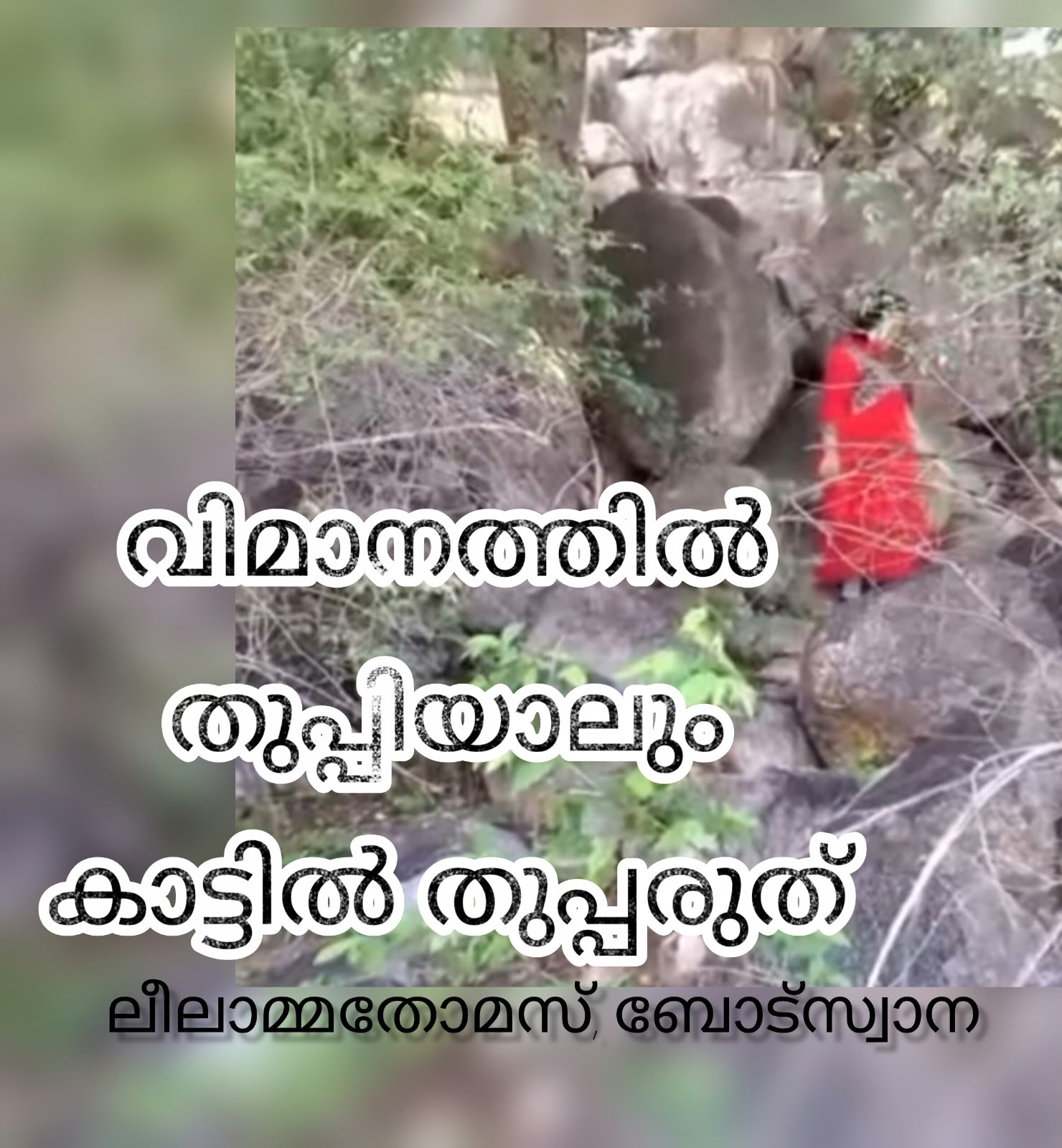 വിമാനത്തിൽ തുപ്പിയാലും കാട്ടിൽ തുപ്പരുത് ! :  ലീലാമ്മ തോമസ് ബോട്സ്വാന 
