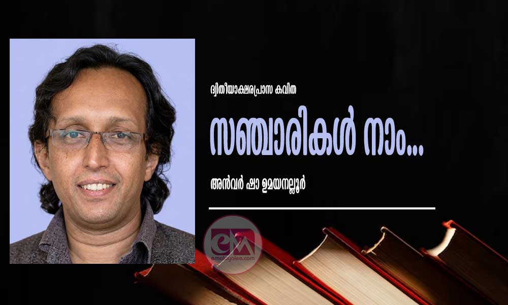 സഞ്ചാരികൾ നാം... (ദ്വിതീയാക്ഷരപ്രാസ കവിത: അൻവർ ഷാ ഉമയനല്ലൂർ)