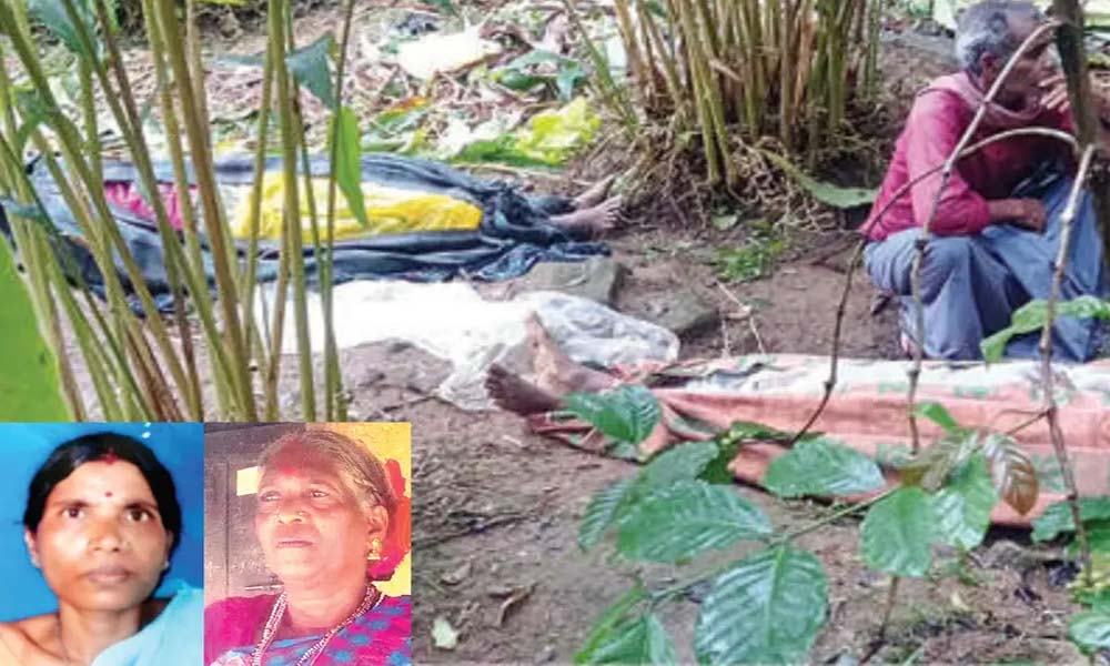  ഊണ്‍ കഴിഞ്ഞ് വിശ്രമിക്കുന്നതിനിടെ അപകടമെത്തി; ശക്തമായ കാറ്റില്‍ മരം വീണ് ഏലത്തൊഴിലാളികള്‍ക്ക് ദാരുണാന്ത്യം