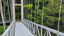 മൂവാറ്റുപുഴയാറിന് കുറുകെയുള്ള തൂക്കുപാലം നിർമാണം അന്തിമഘട്ടത്തിൽ
