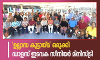 'ഉല്ലാസ കൂട്ടായ്മ' ഒരുക്കി ഡാളസ് ഇടവക സീനിയർ മിനിസ്ട്രി