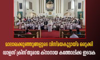 മാലാഖക്കുഞ്ഞുങ്ങളുടെ വിസ്മയകൂട്ടായ്മ ഒരുക്കി ഡാളസ് ക്രിസ്‌തുരാജ ക്നാനായ കത്തോലിക്ക ഇടവക