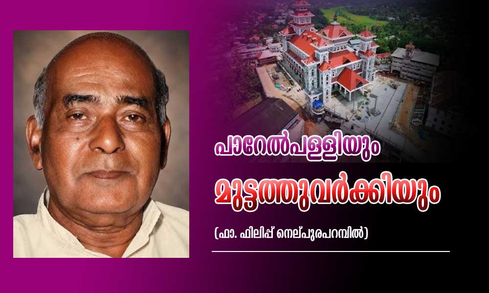 പാറേൽപള്ളിയും മുട്ടത്തുവർക്കിയും (ഫാ. ഫിലിപ്പ് നെല്പുരപറമ്പിൽ)
