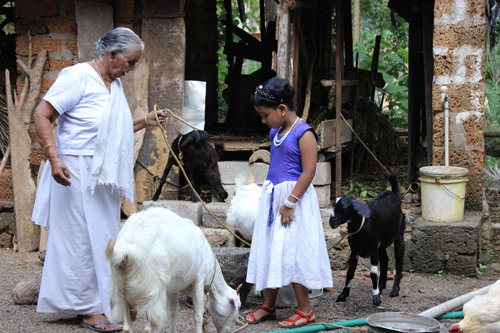 ദൈവം എന്നെ തൊടുന്നതുപോലെ- ജോണ്‍ ബ്രിട്ടാസ്