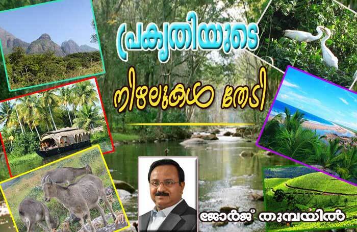പ്രകൃതിയുടെ നിഴലുകള്‍ തേടി -1 (ജോര്‍ജ്‌ തുമ്പയില്‍)