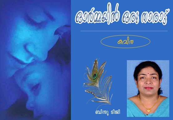 `ഓര്‍മ്മയില്‍ ഒരു താരാട്ട്‌' (കവിത: ബിന്ദു ടിജി)
