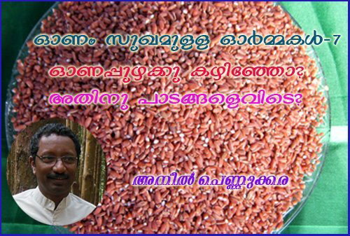 ഓണം സുഖമുള്ള ഓര്‍മ്മകള്‍-7- -ഓണപ്പുഴക്കു കഴിഞ്ഞോ? അതിനു പാടങ്ങളെവിടെ?- അനില്‍ പെണ്ണുക്കര.