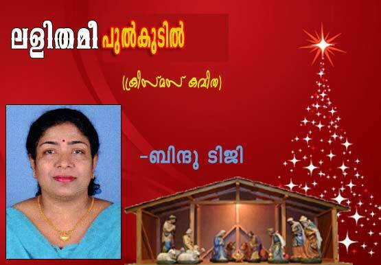 `ലളിതമീ പുല്‍കുടില്‍' (ക്രിസ്‌മസ്‌ കവിത: ബിന്ദു ടിജി)