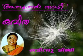 'അപ്പൂപ്പന്‍ താടി ' (കവിത)ബിന്ദു ടിജി