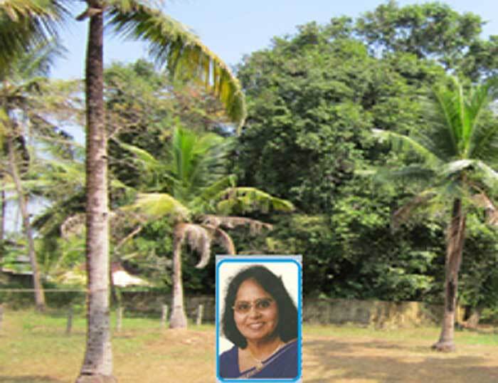 ഓര്‍മ്മകള്‍ തൊഴുത് മടങ്ങുന്ന എന്റെ ഗ്രാമം (സരോജ വര്‍ഗീസ്)
