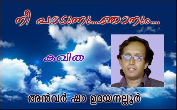 നീ പാടുന്നു....ഞാനും.... (കവിത : അന്‍വര്‍ ഷാ ഉമയനല്ലൂര്‍) 