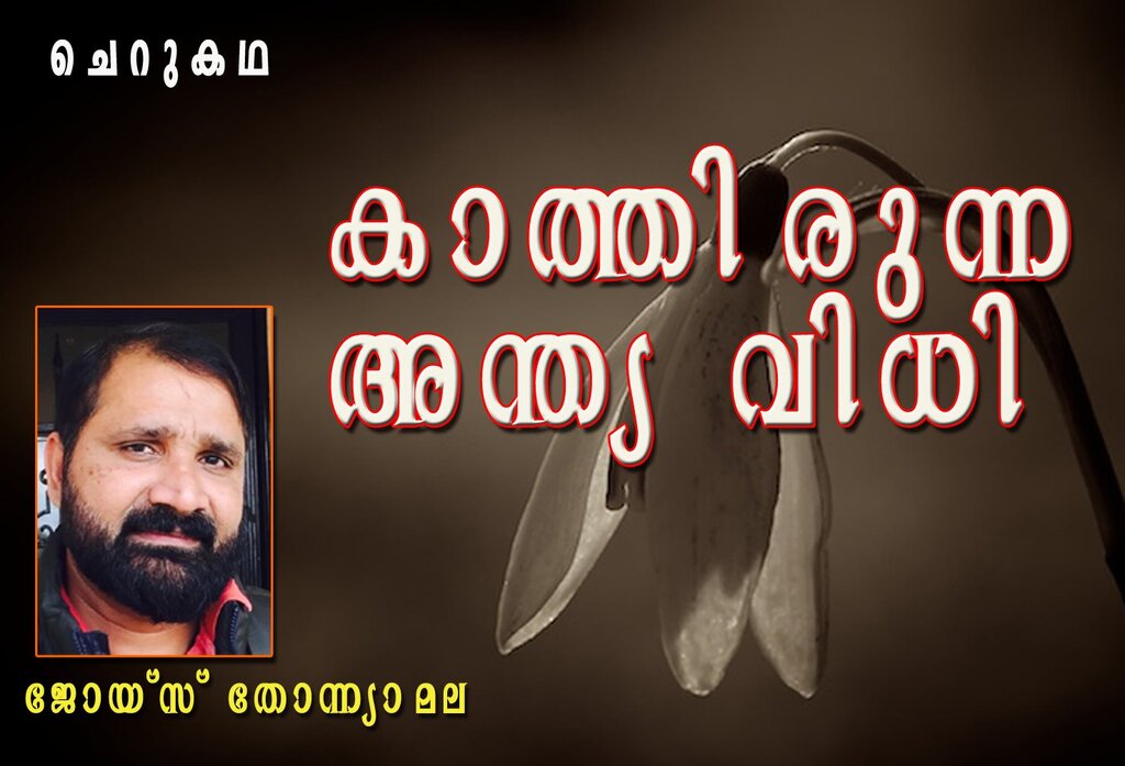 കാത്തിരുന്ന അന്ത്യ വിധി (ചെറുകഥ-ജോയ്‌സ് തോന്ന്യാമല)