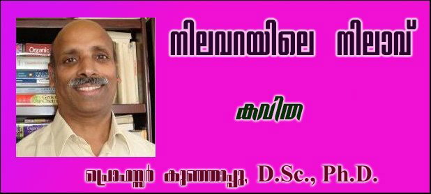 നിലവറയിലെ നിലാവ്    (കവിത: പ്രൊഫസ്സര്‍ കുഞ്ഞാപ്പു, D.Sc., Ph.D.)