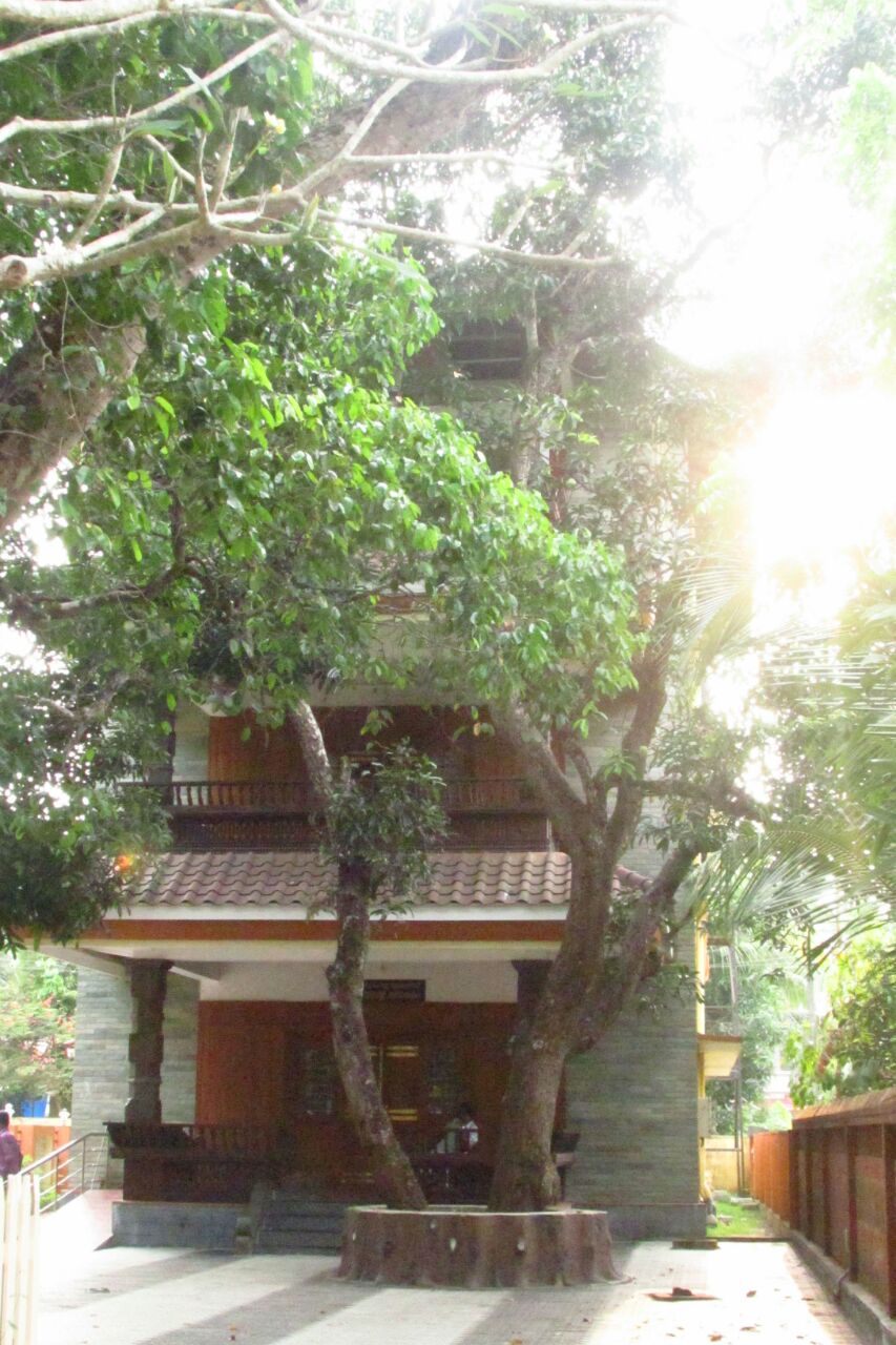 കമലിന്റെ ആമി, അവരുടെ കമല, നമ്മുടെ മാധവിക്കുട്ടി (ഷാജന്‍ ആനിത്തോട്ടം)
