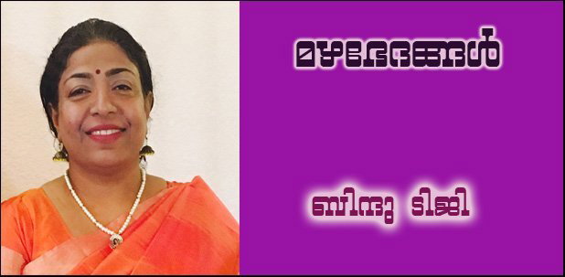 മഴഭേദങ്ങള്‍  (ബിന്ദു ടിജി)