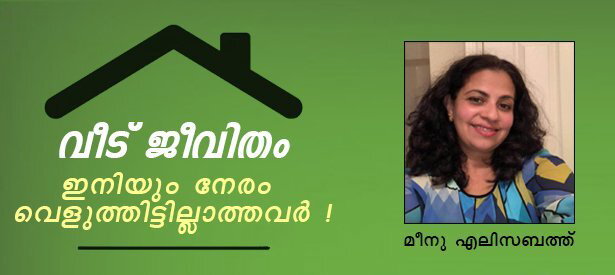 വീട് ജീവിതം. ഇവിടെ ഇനിയും നേരം വെളുത്തിട്ടില്ലാത്തവര്‍! (മീനു എലിസബത്ത്)