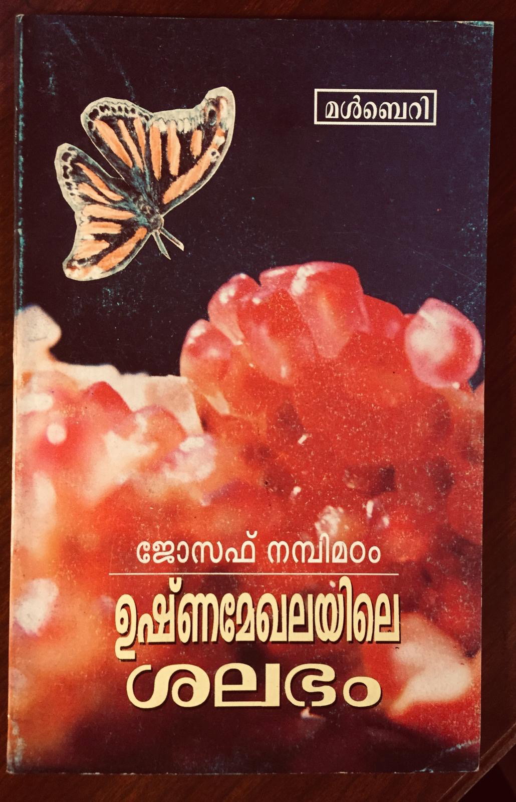 വേണ്ടത്  കുടിയേറ്റ  മണ്ണിന്റെ മണമുള്ള സാഹിത്യം:  ജോസഫ് നമ്പിമഠം (മുന്‍പേ നടന്നവര്‍ -4-  മീനു എലിസബത്ത്)