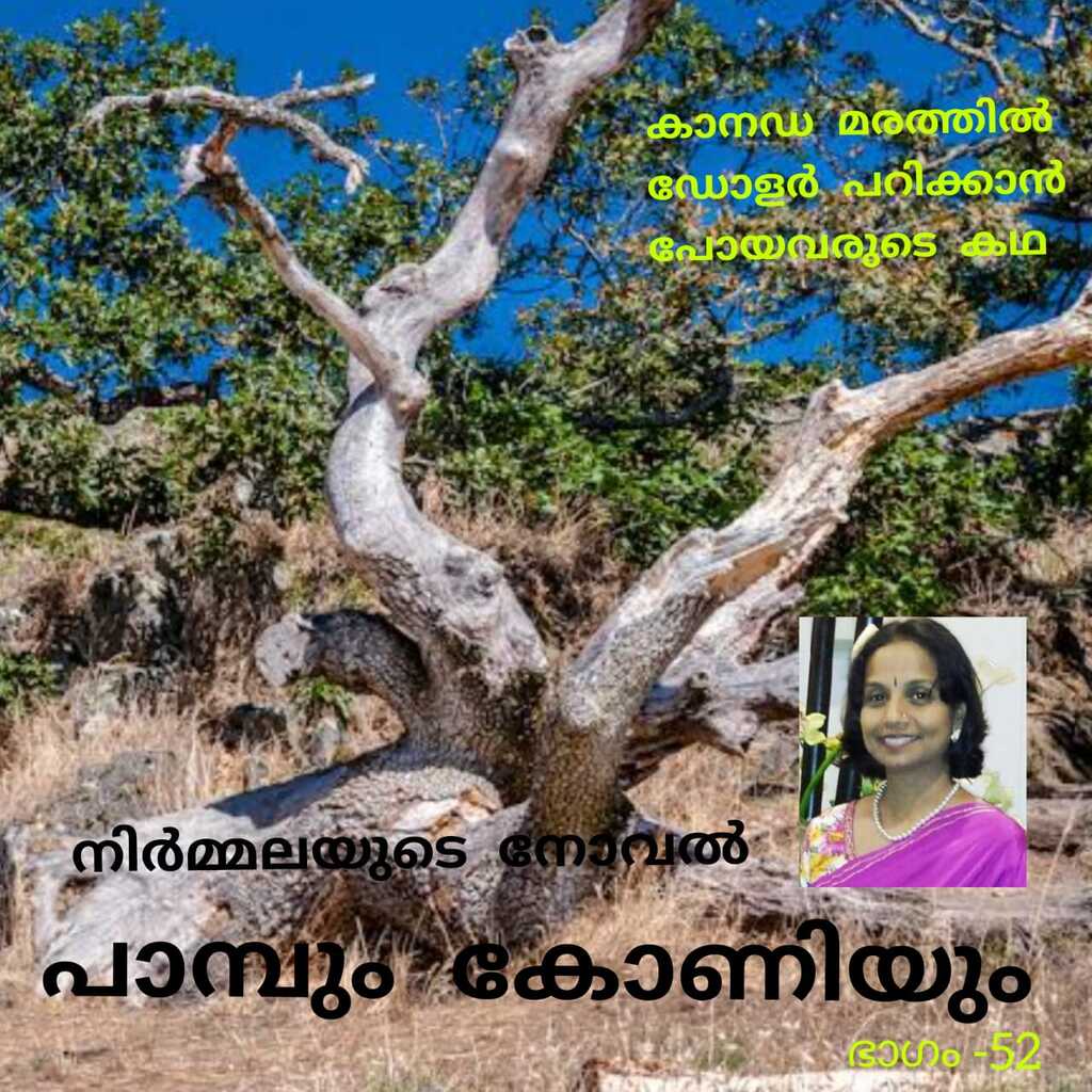 പാമ്പും കോണിയും - നിർമ്മല (നോവൽ - 52 )