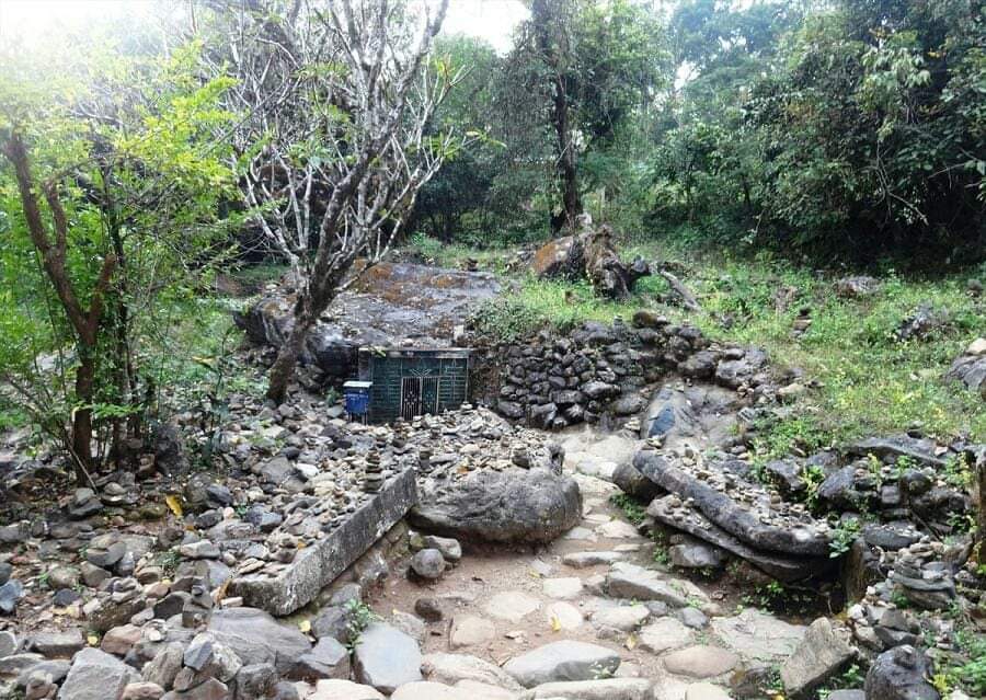 പ്രകൃതിയെ തൊട്ടറിഞ്ഞ യാത്ര  (ലെച്ചൂസ്)