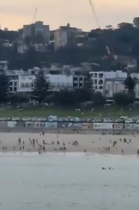  സിഡ്‌നി കൂട്ടക്കൊലയിലെ പ്രതികൾ അച്ഛനും മകനും; മരിച്ചവരുടെ എണ്ണം 16 ആയി (പിപിഎം)